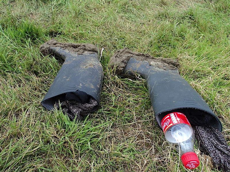 Glastonbury Festival 2011