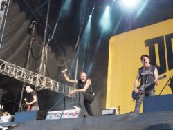 DONOTS @ Highfield Festival 2018