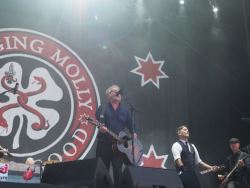 Flogging Molly @ Highfield Festival 2018