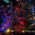 Bergfunk Open-Air 2021 - Foto: Olli Exner